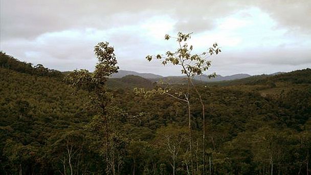 Парк Nascentes do Tiete в Сан-Паулу Парк Nascentes do Tiete в Сан-Паулу