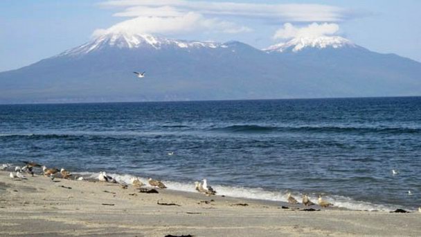 Полуостров Чирип Полуостров Чирип