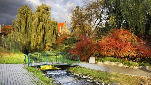 Городской парк в Торуни Городской парк в Торуни