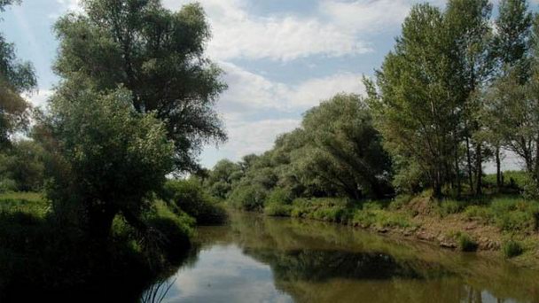 Природный парк Республики Калмыкия Природный парк Республики Калмыкия
