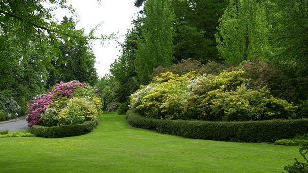Вашингтон Парк Вашингтон Парк