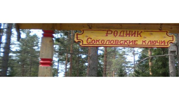 Родник Соколовские ключи Родник Соколовские ключи