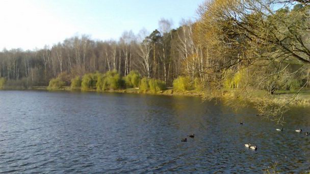 Парк Покровское-Глебово-Стрешнево в Москве Парк Покровское-Глебово-Стрешнево в Москве