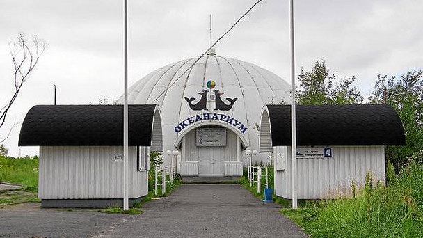 Мурманский океанариум Мурманский океанариум