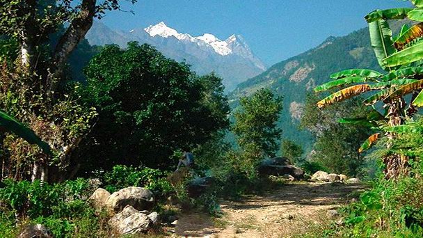 Заповедник Манаслу в Джомсоме Заповедник Манаслу в Джомсоме