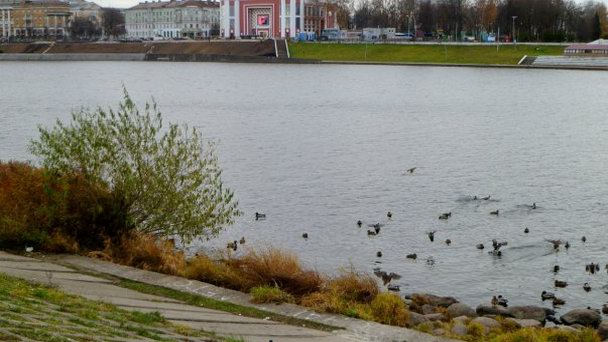 Набережная Афанасия Никитина в Твери Набережная Афанасия Никитина в Твери