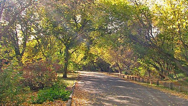 Парк имени сэра Уилфрида Лорье в Эдмонтоне Парк имени сэра Уилфрида Лорье в Эдмонтоне