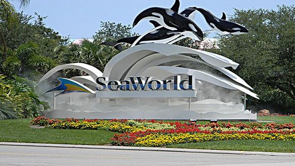 Морской парк Sea World Морской парк Sea World