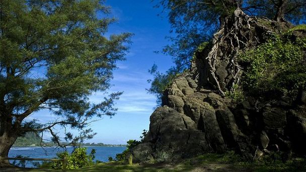 Холм одного дерева Холм одного дерева