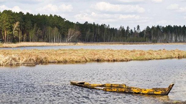 Озеро Чистое в Тамбове Озеро Чистое в Тамбове