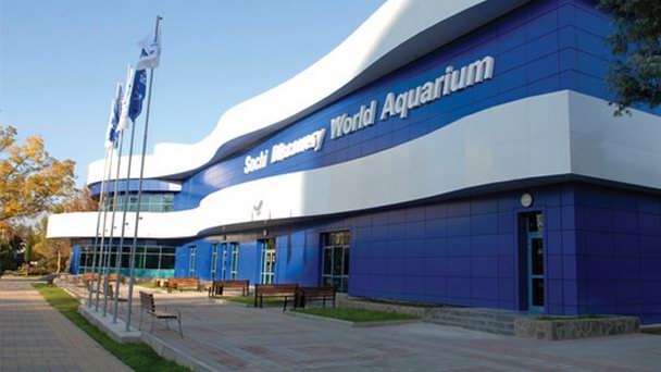 Океанариум Sochi Discovery World в Адлере Океанариум Sochi Discovery World в Адлере