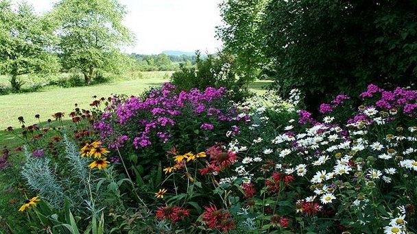 Сад Centennial Lilac в Онтарио Сад Centennial Lilac в Онтарио