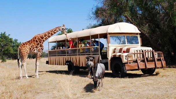 Парк «Царство животных» в Мехико Парк «Царство животных» в Мехико