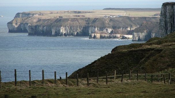 Заповедник Bempton Cliffs в Англии Заповедник Bempton Cliffs в Англии