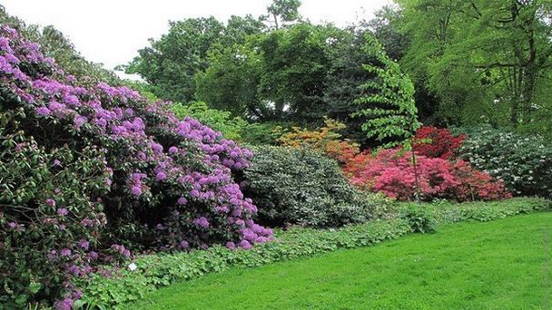 Сад Берггартен в Бремене Сад Берггартен в Бремене