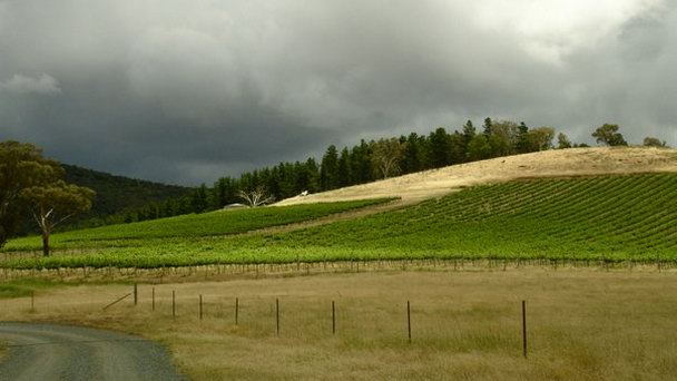 Винодельня Mount Majura Винодельня Mount Majura