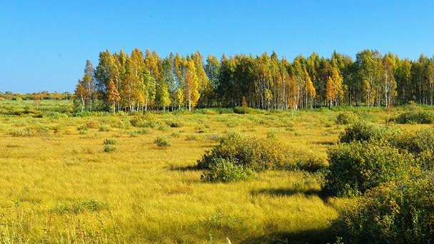 Остров Пийрисар в Пскове Остров Пийрисар в Пскове