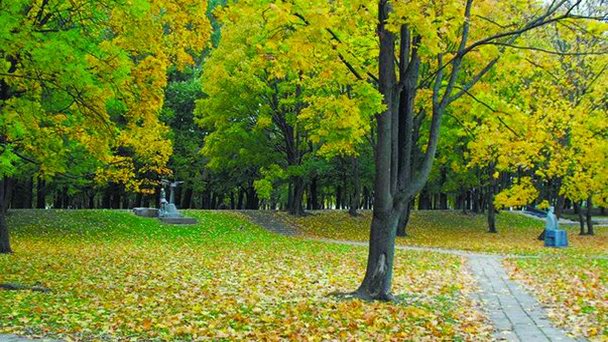 Скульптурный парк Maжвидас» в Клайпеде Скульптурный парк Maжвидас» в Клайпеде