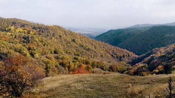 Национальный парк Алгети Национальный парк Алгети