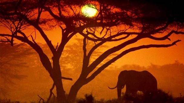 Национальный парк Амбосели Национальный парк Амбосели