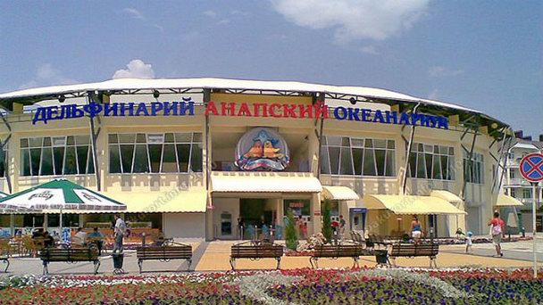 Дельфинарий-океанариум в Анапе Дельфинарий-океанариум в Анапе