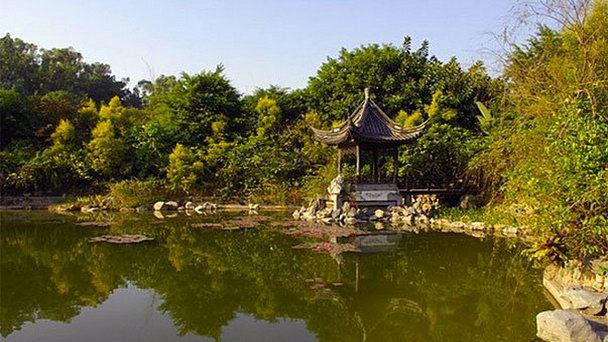 Парк Века в Шанхае Парк Века в Шанхае