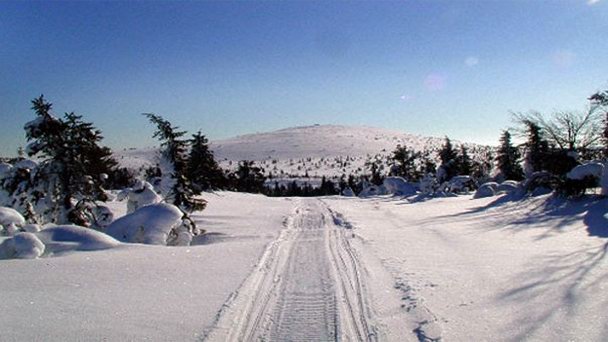 Горнолыжный курорт Муставаара Горнолыжный курорт Муставаара