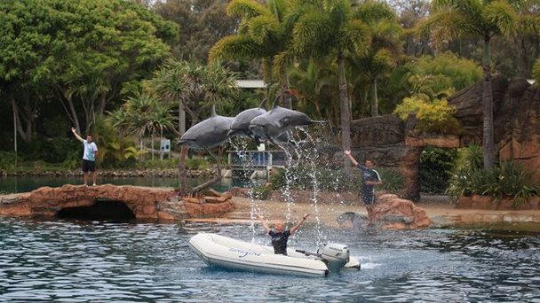 Парк развлечений Морской мир в Квинсленде Парк развлечений Морской мир в Квинсленде