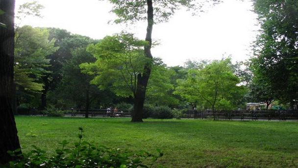 Парк Томкинс в Альберте Парк Томкинс в Альберте