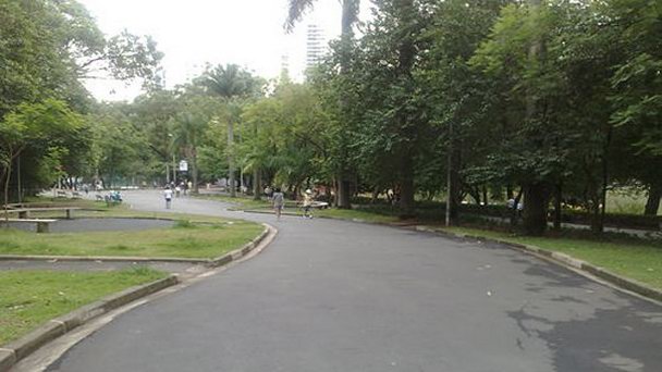 Парк Aclimacao в Сан-Паулу Парк Aclimacao в Сан-Паулу