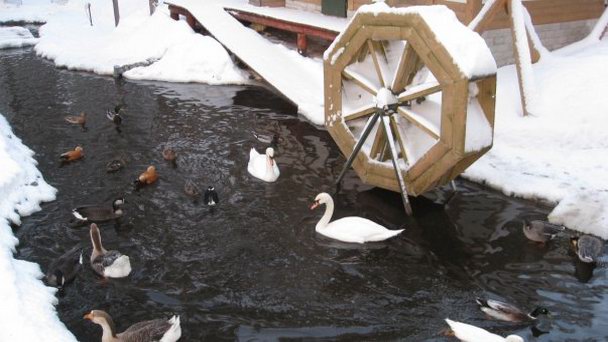 Зоопарк Деда Мороза в Великом Устюге Зоопарк Деда Мороза в Великом Устюге