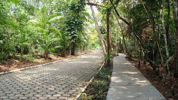 Муниципальный парк Минду в Манаусе Муниципальный парк Минду в Манаусе