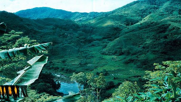 Национальный парк Раномафана в Фианарантсоа Национальный парк Раномафана в Фианарантсоа