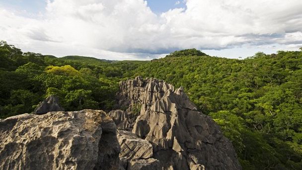 Заповедная зона Анкарана Заповедная зона Анкарана