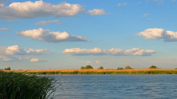 Река Аксай Река Аксай