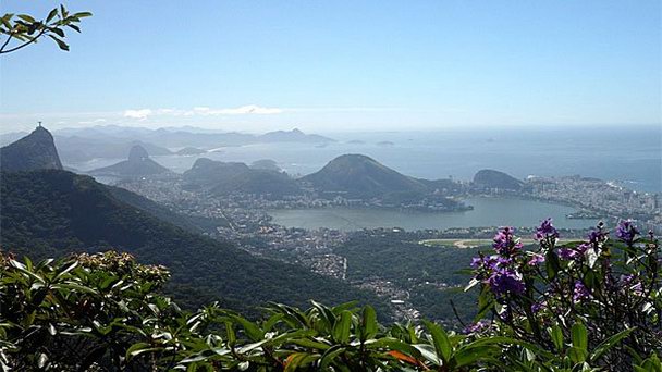 Национальный парк Тижука в Рио-де-Жанейро Национальный парк Тижука в Рио-де-Жанейро