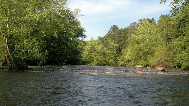 Река Ноттавей Река Ноттавей