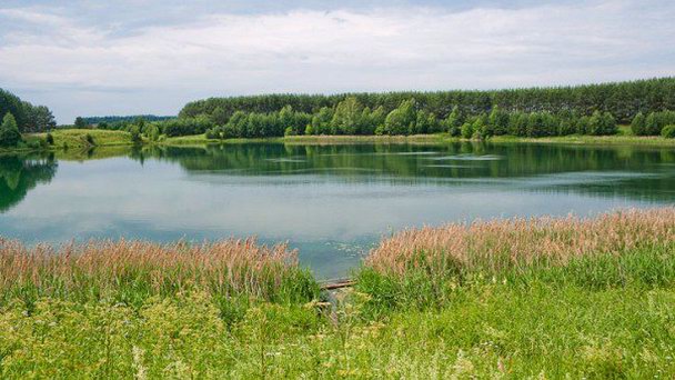 Лежнинское озеро Лежнинское озеро